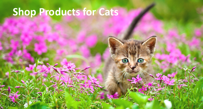 Shop Products for Cats