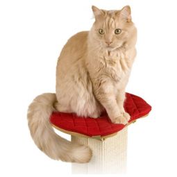 The Ultimate Post Perch with Pad