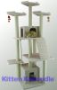 Cat Furniture