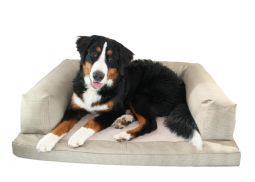 Baxter Couch - Medium - 25" x 33"