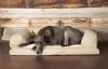 Extra Large Dog Beds