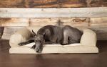 Baxter Couch - Extra Large - 34" x 54"