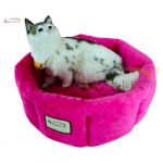 Cat Bed