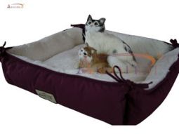 Cat Bed