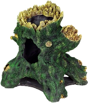 Hollow Tree Stump