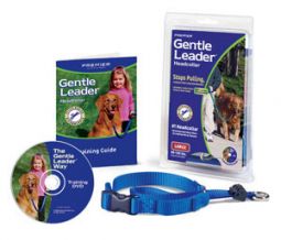 Premier Gentle Leader Quick Release Head Collar  Large