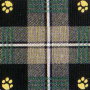 Teal Paw Plaid