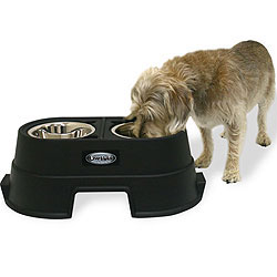 Healthy Pet Diner 8"