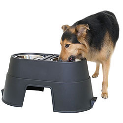 Healthy Pet Diner 12"
