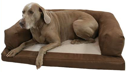 Baxter Couch Dog Bed Large