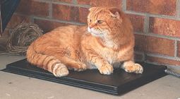 Outdoor Heated Pad