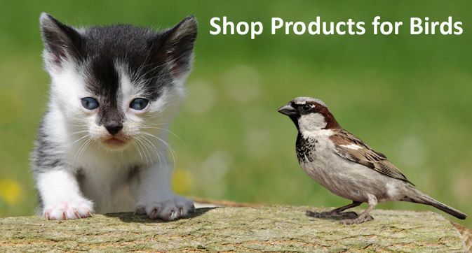 Shop Products for Birds