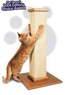 The Ultimate Scratching Post